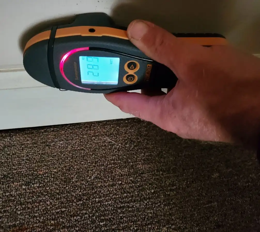 Moisture detection at baseboard during Sewage Cleanup & Sanitation in Rio Linda